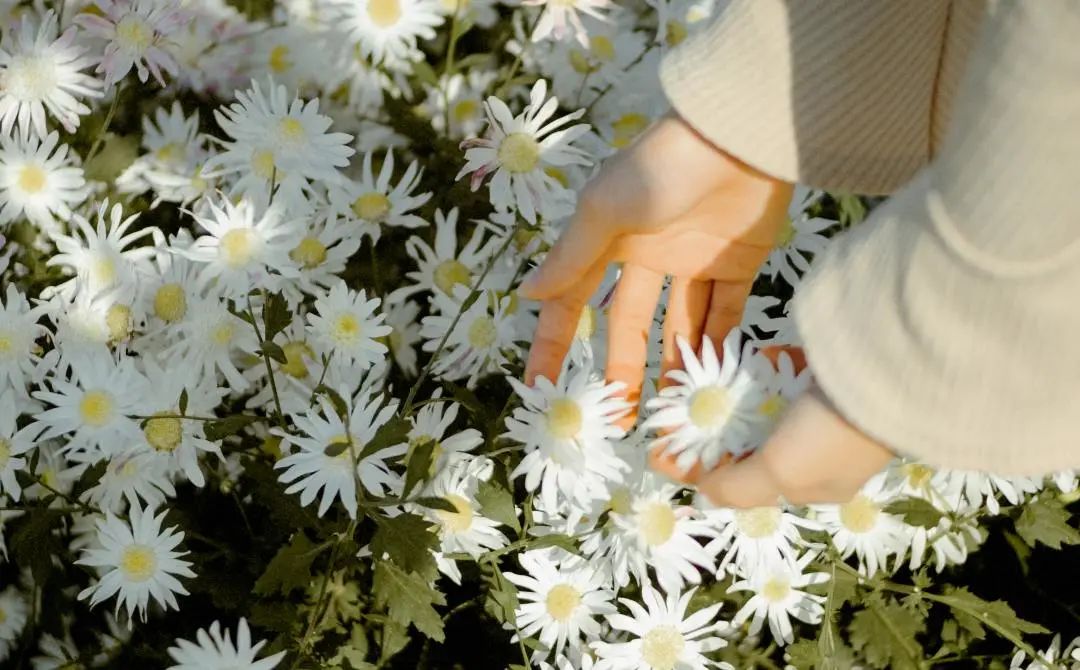 廣州裝修設計 廣州裝修設計